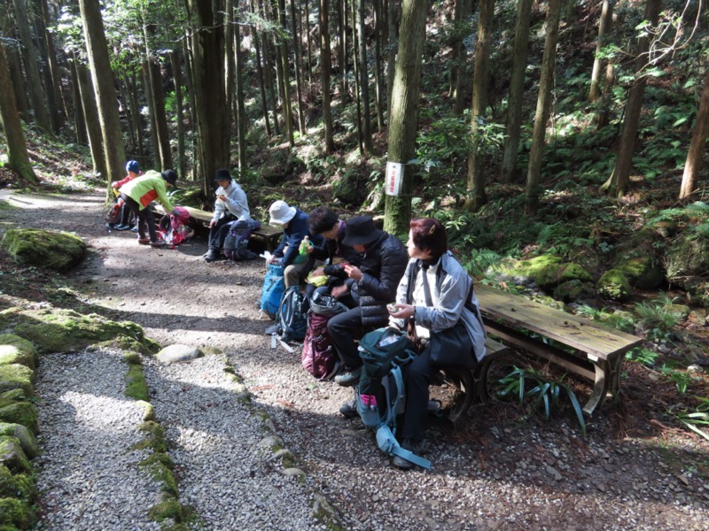 日和田山、物見山